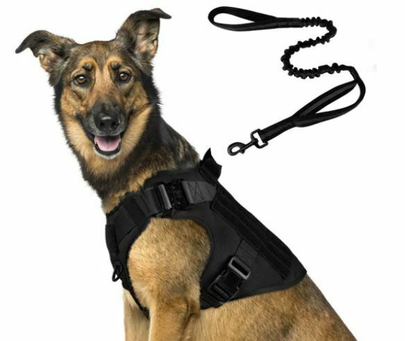 Rabbitgoo Dog Harness and Bungee Dog Leash Set for Large Medium Dogs