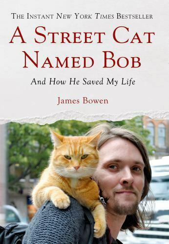 A Street Cat Named Bob : And How He Saved My Life by James Bowen (2013)